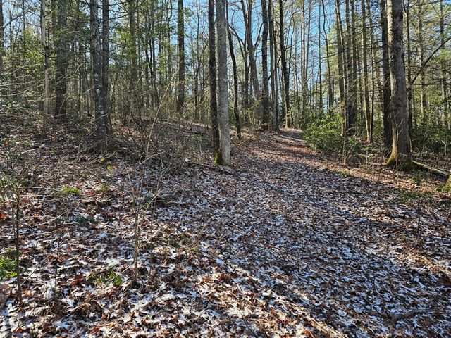 0 Beaverdam Road, Murphy, NC 28906