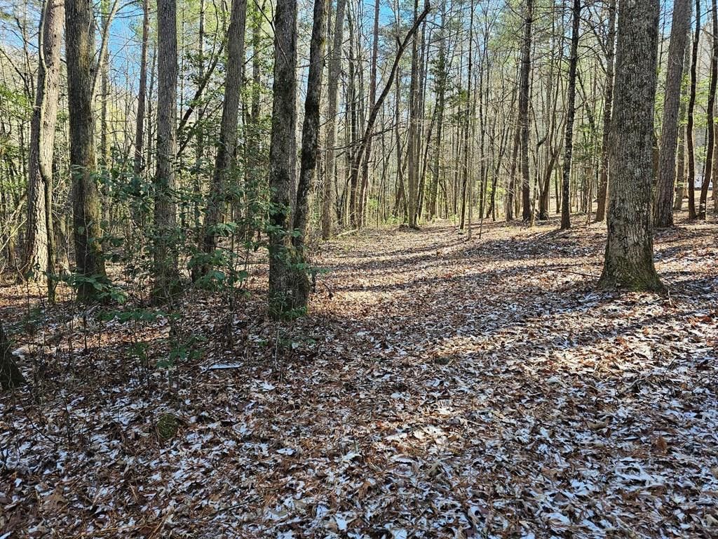 0 Beaverdam Road, Murphy, NC 28906