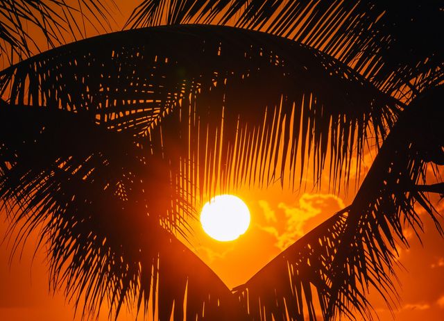 2217 Cypress Island Drive 508, Pompano Beach, FL 33069