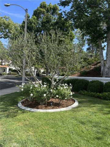 45233 Camino Monzon, Temecula, CA 92592