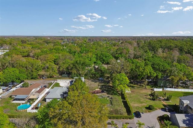 8715 BROOKE ANGELA DRIVE, Odessa, FL 33556