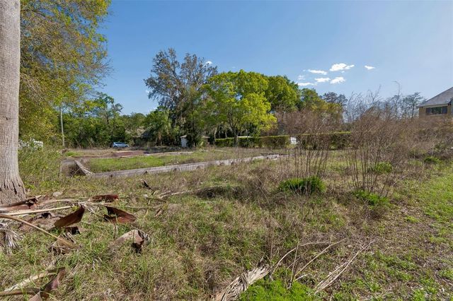 8715 BROOKE ANGELA DRIVE, Odessa, FL 33556