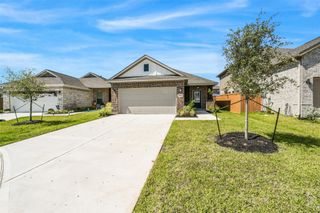 10950 Tawny Ridge Drive, Beasley, TX 77417