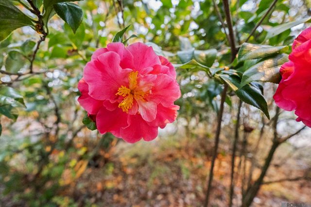 557 Avenue C, Port Allen, LA 70767