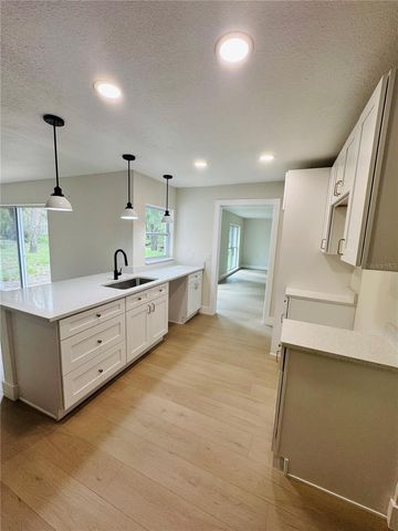 4405 COCONUT COVE PLACE, Valrico, FL 33596