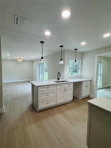 4405 COCONUT COVE PLACE, Valrico, FL 33596