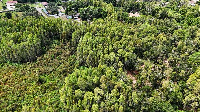 0 2ND AVENUE NE, Lutz, FL 33549