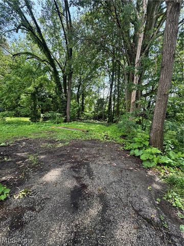 10604 Nelson Avenue, Cleveland, OH 44105