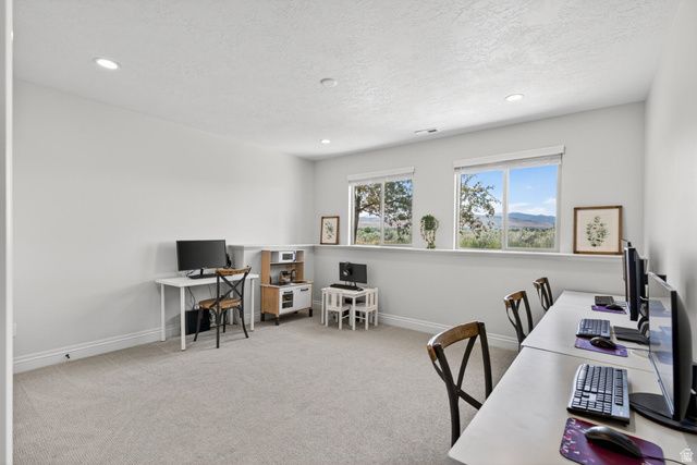 14212 S STONE FLY DR, Bluffdale, UT 84065
