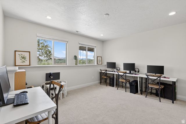 14212 S STONE FLY DR, Bluffdale, UT 84065