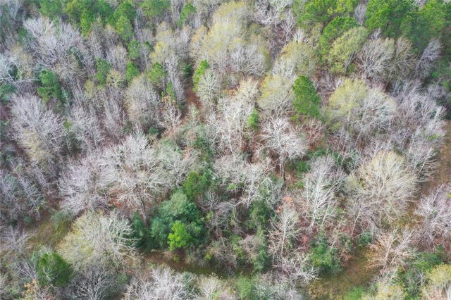 TBD Dejardo Lane, Coldspring, TX 77331