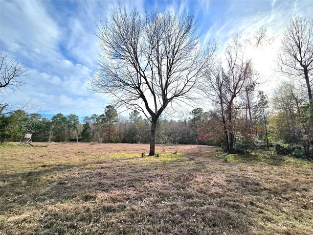 TBD Dejardo Lane, Coldspring, TX 77331