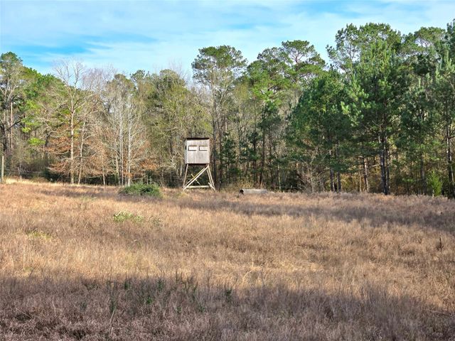 TBD Dejardo Lane, Coldspring, TX 77331