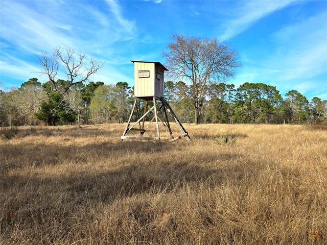 TBD Dejardo Lane, Coldspring, TX 77331