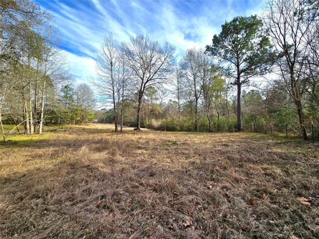 TBD Dejardo Lane, Coldspring, TX 77331