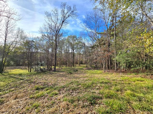 TBD Dejardo Lane, Coldspring, TX 77331