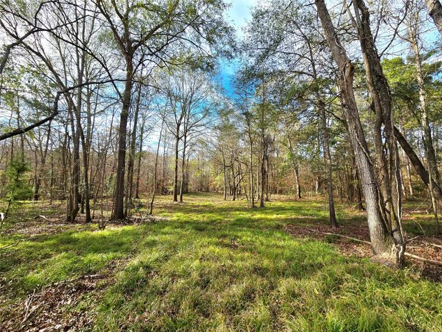 TBD Dejardo Lane, Coldspring, TX 77331
