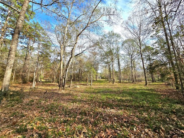 TBD Dejardo Lane, Coldspring, TX 77331