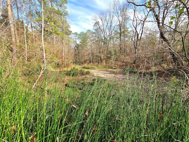 TBD Dejardo Lane, Coldspring, TX 77331