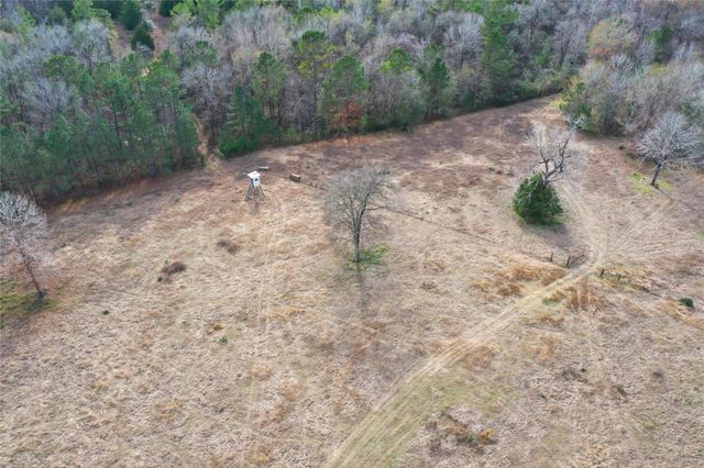 TBD Dejardo Lane, Coldspring, TX 77331