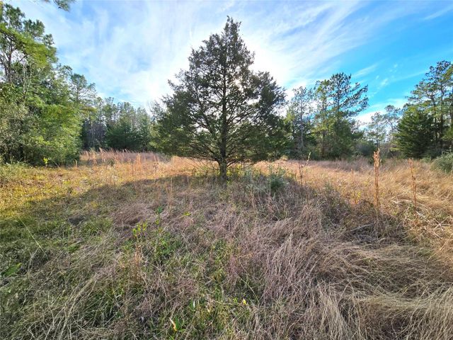 TBD Dejardo Lane, Coldspring, TX 77331