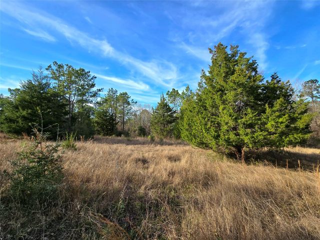 TBD Dejardo Lane, Coldspring, TX 77331