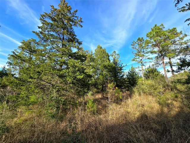 TBD Dejardo Lane, Coldspring, TX 77331