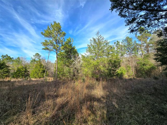 TBD Dejardo Lane, Coldspring, TX 77331
