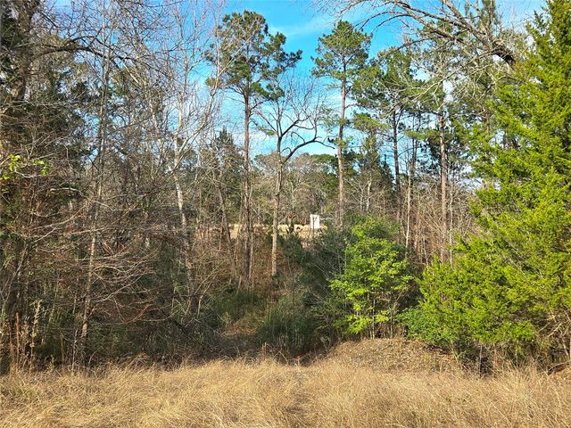 TBD Dejardo Lane, Coldspring, TX 77331