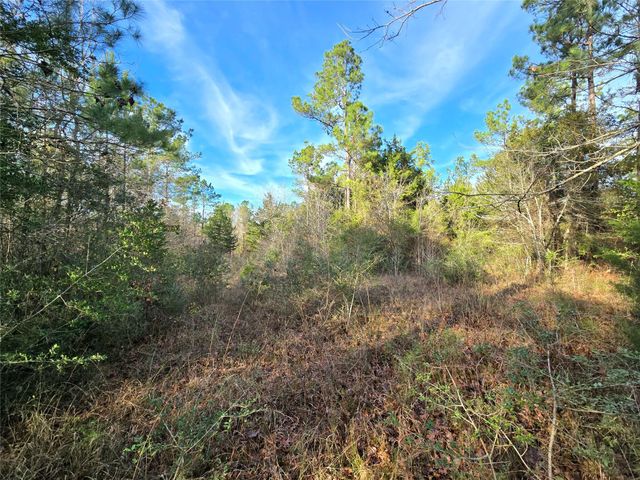 TBD Dejardo Lane, Coldspring, TX 77331