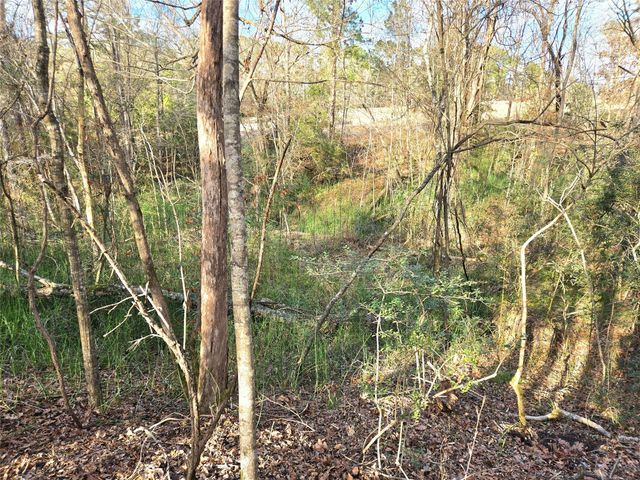 TBD Dejardo Lane, Coldspring, TX 77331