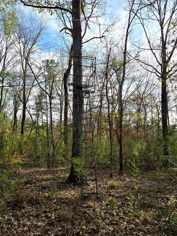 TBD Dejardo Lane, Coldspring, TX 77331