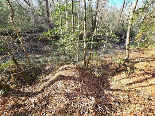 TBD Dejardo Lane, Coldspring, TX 77331