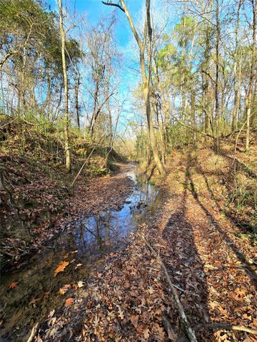 TBD Dejardo Lane, Coldspring, TX 77331