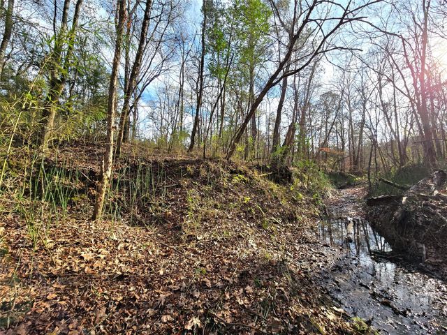 TBD Dejardo Lane, Coldspring, TX 77331