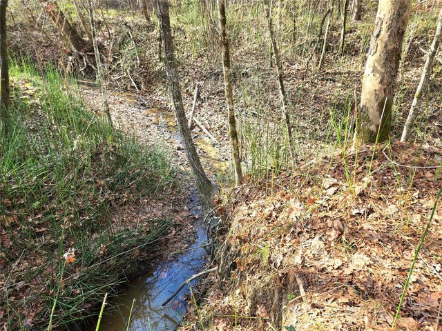 TBD Dejardo Lane, Coldspring, TX 77331