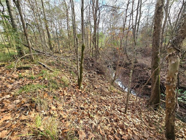 TBD Dejardo Lane, Coldspring, TX 77331