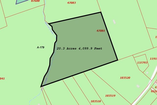 TBD Dejardo Lane, Coldspring, TX 77331