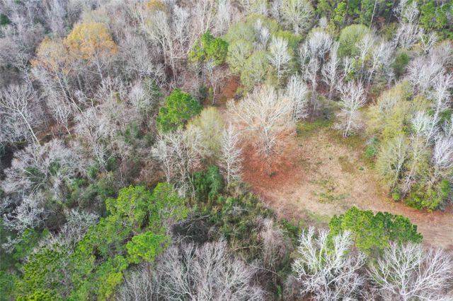 TBD Dejardo Lane, Coldspring, TX 77331