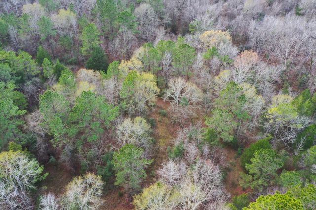 TBD Dejardo Lane, Coldspring, TX 77331