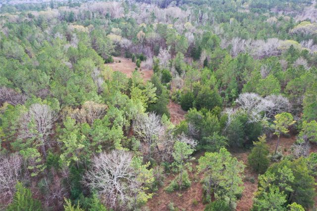 TBD Dejardo Lane, Coldspring, TX 77331