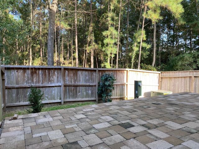 113 Berlandier Ash Court, Montgomery, TX 77316