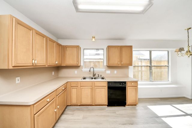 4014 Teal Vista Court, Fresno, TX 77545