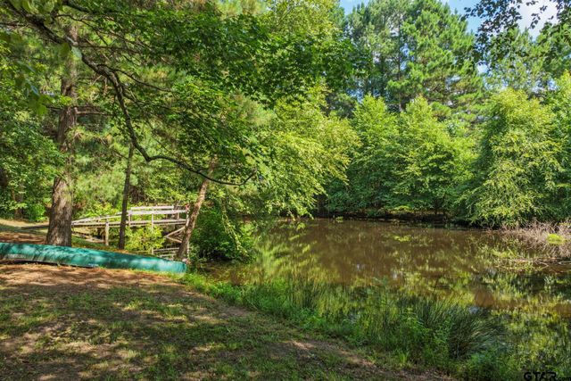 2264 County Road 4450, Winnsboro, TX 75494