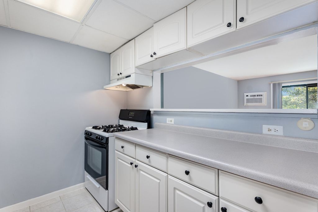 208 E Bailey Road E K, Naperville, IL 60565 — photo 5