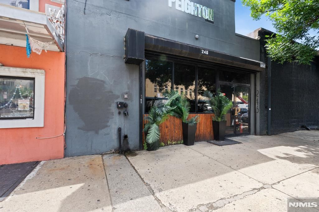 246 Mulberry Street, Newark, NJ 07102
