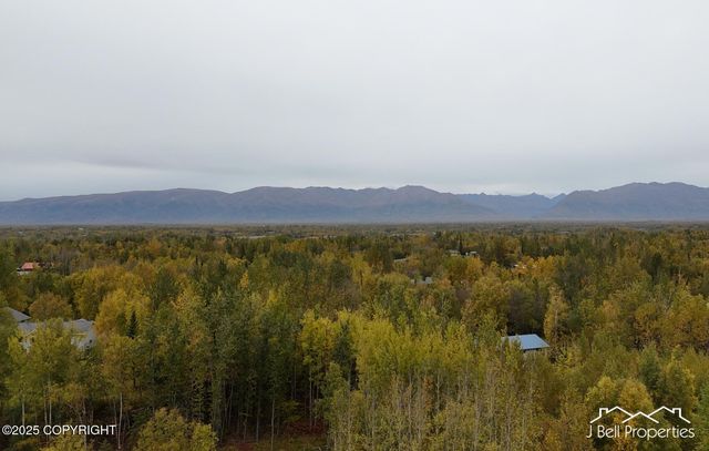 L6A S Baroness Lane, Palmer, AK 99645