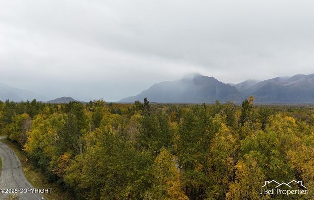 L6A S Baroness Lane, Palmer, AK 99645