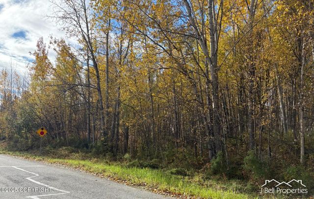 L6A S Baroness Lane, Palmer, AK 99645