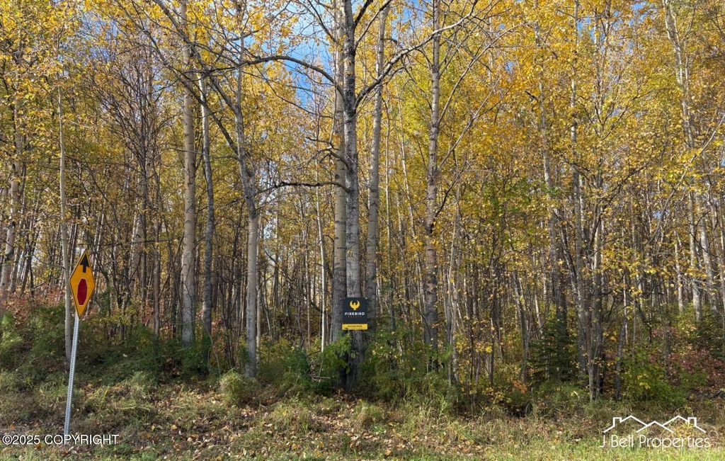 L6A S Baroness Lane, Palmer, AK 99645